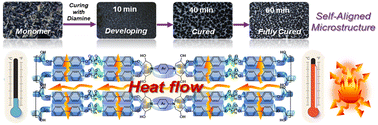 Graphical abstract: Enhancement of thermal conducting properties in epoxy thermoset systems using an aligned liquid-crystalline mesophase