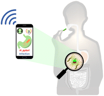 Graphical abstract: A smart nanopaper sensor for optical diagnosis of Helicobacter pylori infection
