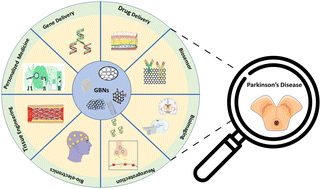 Graphical abstract: Advances in graphene-based nanoplatforms and their application in Parkinson's disease