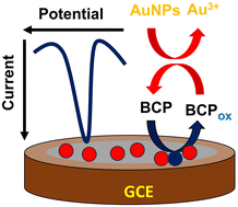 Graphical abstract: Red gum-capped gold nanoparticles for electrochemical sensing of bromocresol purple in water