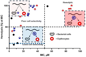 Graphical abstract: Synthesis, characterization and cell selectivity of poly(quaternary ammonium chlorides): effect of the degree of quaternization and copolymer composition