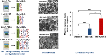 Graphical abstract: Deposition of multilayer coatings onto highly porous materials by Layer-by-Layer assembly for bone tissue engineering applications using cyclic mechanical deformation and perfusion