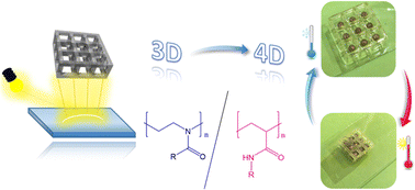 Graphical abstract: 4D printing of hydrogels based on poly(oxazoline) and poly(acrylamide) copolymers by stereolithography