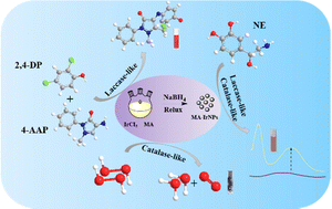 Graphical abstract: Malic acid-coated iridium nanoparticle-induced cascade enzymatic reactions for norepinephrine detection