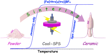 Graphical abstract: Spin crossover molecular ceramics by Cool-SPS: consequences on switching features beyond microstructural effects