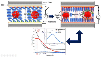 Graphical abstract: Unveiling the role of electrode polarization in modulating dielectric and electro-optical properties of SnSe dispersed nematic liquid crystal
