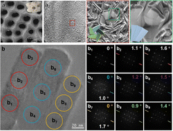 Graphical abstract: Chiral mesostructured hydroxyapatite on 3D macroporous coralline scaffolds for enantio-selective osteogenesis