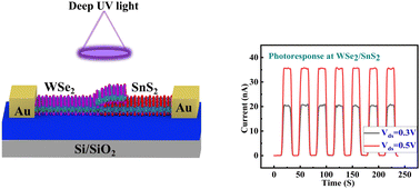 Graphical abstract: Gate-controlled rectification and broadband photodetection in a P–N diode based on TMDC heterostructures