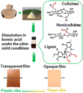 Graphical abstract: Reassembly of wood to plastic- and paper-like films via ultra-mild dissolution in formic acid