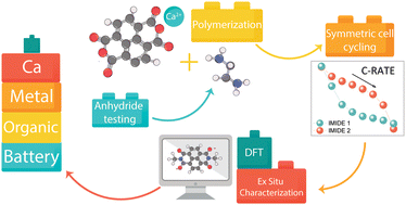 Graphical abstract: Paving the way for future Ca metal batteries through comprehensive electrochemical testing of organic polymer cathodes