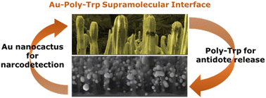 Graphical abstract: Free-base amino acid-encoded microsystems for dual detection of narcotics and therapeutic antidote monitoring