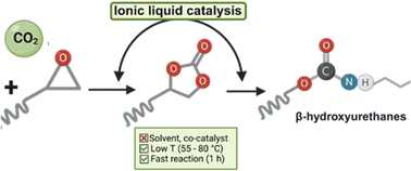 Graphical abstract: Fast carbon dioxide–epoxide cycloaddition catalyzed by metal and metal-free ionic liquids for designing non-isocyanate polyurethanes