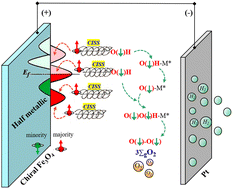 Graphical abstract: Unlocking OER catalytic potential and chiral Fe3O4 film as a game-changer for electrochemical water oxidation pathway and by-product control