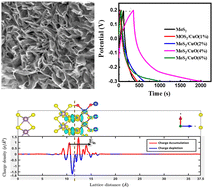 Graphical abstract: DFT-aided experimental investigation on the electrochemical performance of hetero-interface-functionalized CuO nanoparticle-decorated MoS2 nanoflowers for energy storage applications
