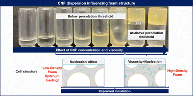 Graphical abstract: Dispersion engineering of cellulose nanofibres in polyols: for controlled microstructure of high-performance polyurethane foam