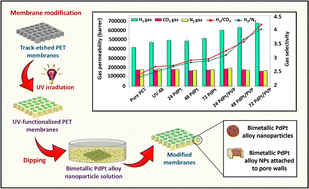 Graphical abstract: Bimetallic PdPt alloy nanoparticle-decorated track-etched polyethylene terephthalate membranes for efficient H2 separation