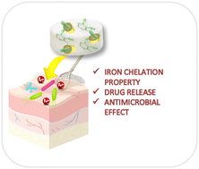 Graphical abstract: Supramolecular biomaterials as drug nanocontainers with iron depletion properties for antimicrobial applications