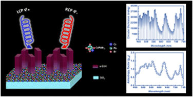 Graphical abstract: Realization of giant superstructural chirality at broadband optical wavelengths via perovskite dielectric metasurfaces