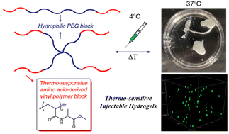 Graphical abstract: Thermo-responsive injectable hydrogels from linear and star-shaped block copolymers composed of amino acid-derived vinyl polymer and poly(ethylene glycol) for biomedical applications