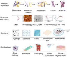 Graphical abstract: Advancements in amyloid-based biological materials for healthcare, environmental and sensing applications