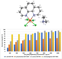 Graphical abstract: Synthesis, characterization, and magnetic and antibacterial properties of a novel iron(iii) complex (CH3)2NH2[Fe(phen)Cl4]