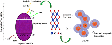 Graphical abstract: Cationic and oxygen defect modulation for tailoring the bandgap and room temperature ferromagnetism of CuO via multiple d-block cations
