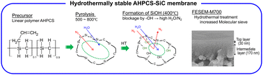 Graphical abstract: Permeation properties and hydrothermal stability of allylhydridopolycarbosilane (AHPCS)-derived silicon carbide (SiC) membranes