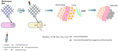 Graphical abstract: pH-sensitive composite nanofibers of poly(ε-caprolactone) loaded with iron oxide nanoparticles/ammonium bicarbonate as a nanocarrier toward efficient doxorubicin release for postsurgical cancer treatment