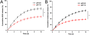 Graphical abstract: pH-sensitive peptide hydrogel encapsulating the anti-angiogenesis drug conbercept and chemotherapeutic drug dox as a combination therapy for retinoblastoma