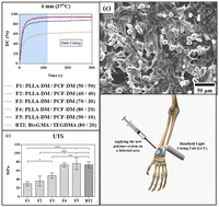 Graphical abstract: Design and development of a new flowable and photocurable lactide and caprolactone-based polymer for bone repair and augmentation