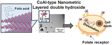 Graphical abstract: Synthesis of 20-nm-sized CoAl-LDH nanoparticles modified with folic acid for enhanced cancer cell targeting