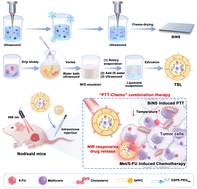 Graphical abstract: Thermosensitive drug-loaded liposomes for photothermal and chemotherapeutic treatment of colon cancer