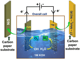 Graphical abstract: Exploring the electrocatalytic prowess of a synergistic 1T-MoS2-metallic Ni composite towards alkaline hydrogen evolution