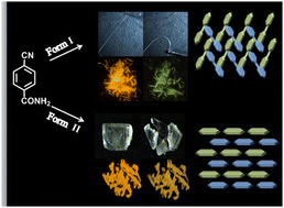 Graphical abstract: Molecular stacking mode-directed mechanical compliance and room-temperature phosphorescence achieved by polymorphic 4-cyanobenzamide crystals