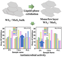 Graphical abstract: Modulating mediation medium for few layered dichalcogenides enhances inhibition of common pathogens