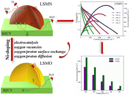 Graphical abstract: Ameliorating La0.5Sr1.5MnO4 with Ni-doping to enhance cathode electrocatalysis for proton-conducting solid oxide fuel cells