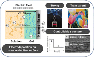 Graphical abstract: Continuous electro-growth of a hierarchically structured hydrogel on a non-conductive surface