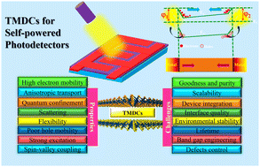 Graphical abstract: Advancements in transition metal dichalcogenides (TMDCs) for self-powered photodetectors: challenges, properties, and functionalization strategies