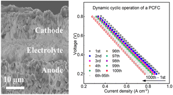 Graphical abstract: A robust protonic ceramic fuel cell with a triple conducting oxygen electrode under accelerated stress tests