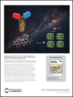 Graphical abstract: Back cover