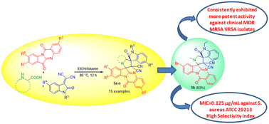 Graphical abstract: Synthesis of tryptanthrin appended dispiropyrrolidine oxindoles and their antibacterial evaluation