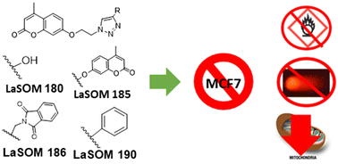 Graphical abstract: Antiproliferative activity and toxicity evaluation of 1,2,3-triazole and 4-methyl coumarin hybrids in the MCF7 breast cancer cell line