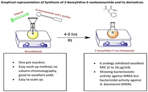 Graphical abstract: Synthesis and antibacterial activity of 2-benzylidene-3-oxobutanamide derivatives against resistant pathogens