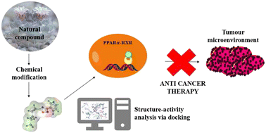 Graphical abstract: Novel 1,2,4-oxadiazole compounds as PPAR-α ligand agonists: a new strategy for the design of antitumour compounds