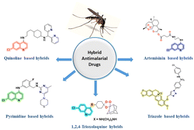 Graphical abstract: Is structural hybridization invoking new dimensions for antimalarial drug discovery research?