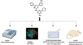 Graphical abstract: Discovery of imeglimin-inspired novel 1,3,5-triazine derivatives as antidiabetic agents in streptozotocin-induced diabetes in Wistar rats via inhibition of DPP-4