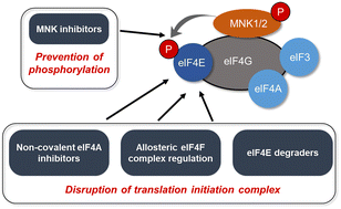 Graphical abstract: Medicinal chemistry approaches to target the MNK–eIF4E axis in cancer