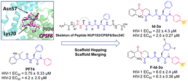 Graphical abstract: Design, synthesis, and mechanistic study of 2-piperazineone-bearing peptidomimetics as novel HIV capsid modulators