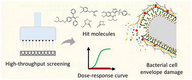 Graphical abstract: Chemical genetic approaches for the discovery of bacterial cell wall inhibitors