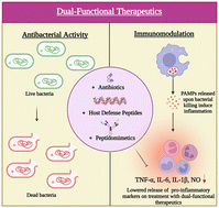 Graphical abstract: Dual functional therapeutics: mitigating bacterial infection and associated inflammation